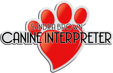 Sandra Brown – Canine Interpreter